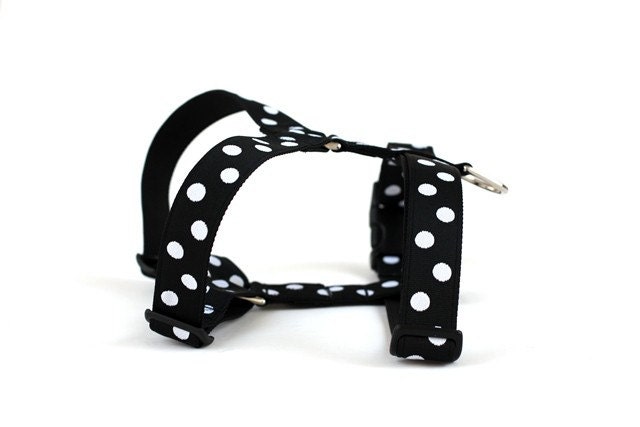 Harness Adjustable in Classic