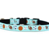 3/8 Wide Collar for Cat or Tiny Puppy in Super Fan