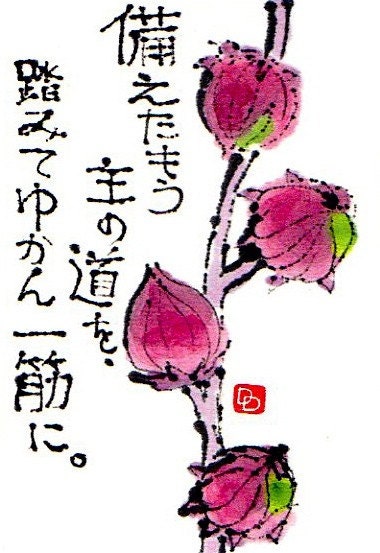 Roselle Pods