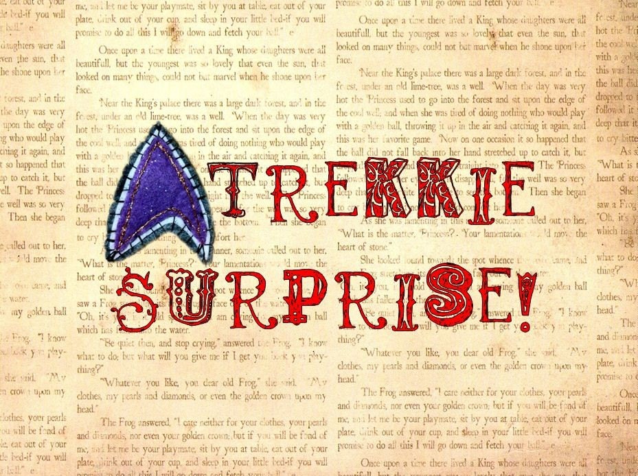 Star Trek Inspired Surprise Package - Large Trekkie Present in Organza Gift Bag, Sci Fi Goodie Bag by Bohemian Bear on Etsy.