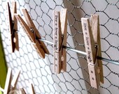 Set of 12 Clothespins - live love laugh
