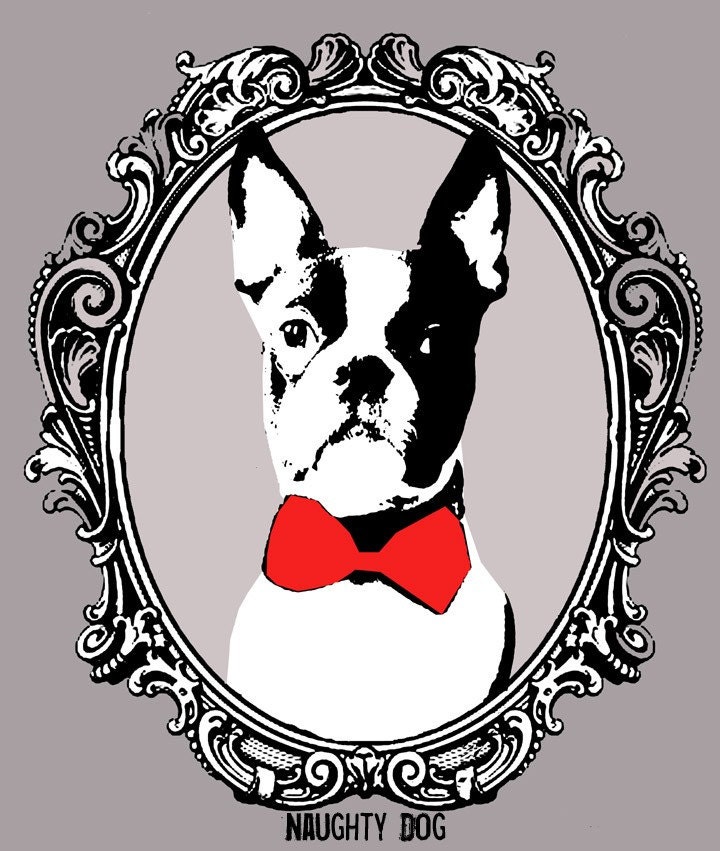 Dog Illustration