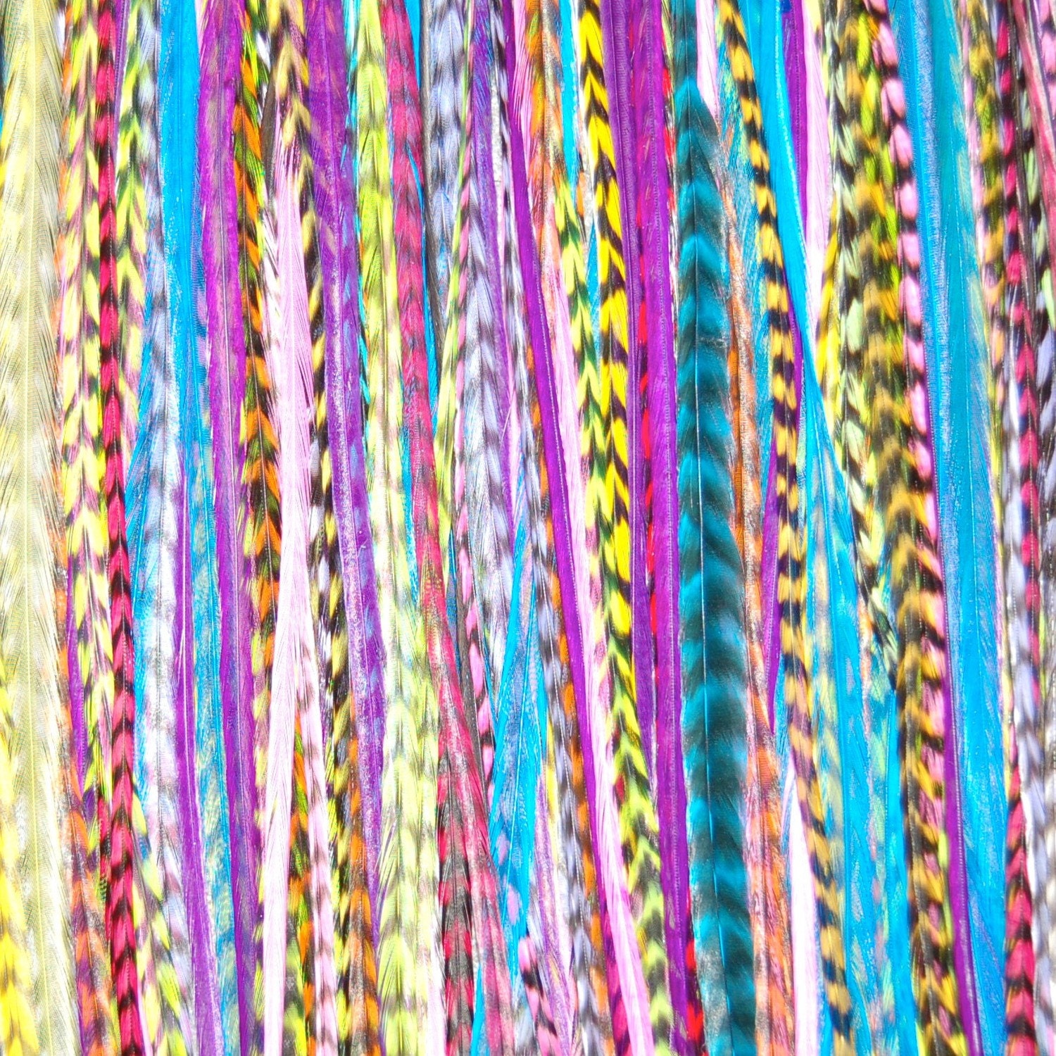 Rainbow 6 Feather Hair Extension MEDIUM - Salon Grade : FREE mirco link clamp