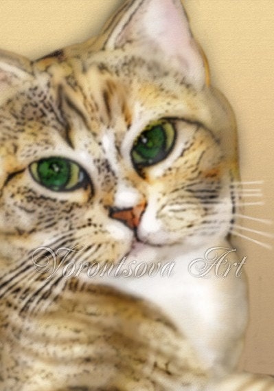 Cat with Green eyes. Kosh. digital illustration. Download and print