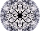 Mandala Art - Meditation Art - Peaceful Geometric Art Print - Nature Inspired Abstract Art Print in Periwinkle Blue - "Mandala No. 494"