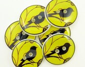 Handmade buttons. Yellow Bird Buttons.  6 Sewing Buttons.