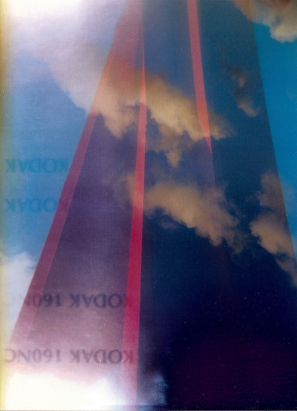 X-ray Vision - 8 x 10 Lomographic Color Photo Print