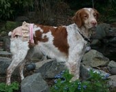 Adorable Spankie (dog diaper)