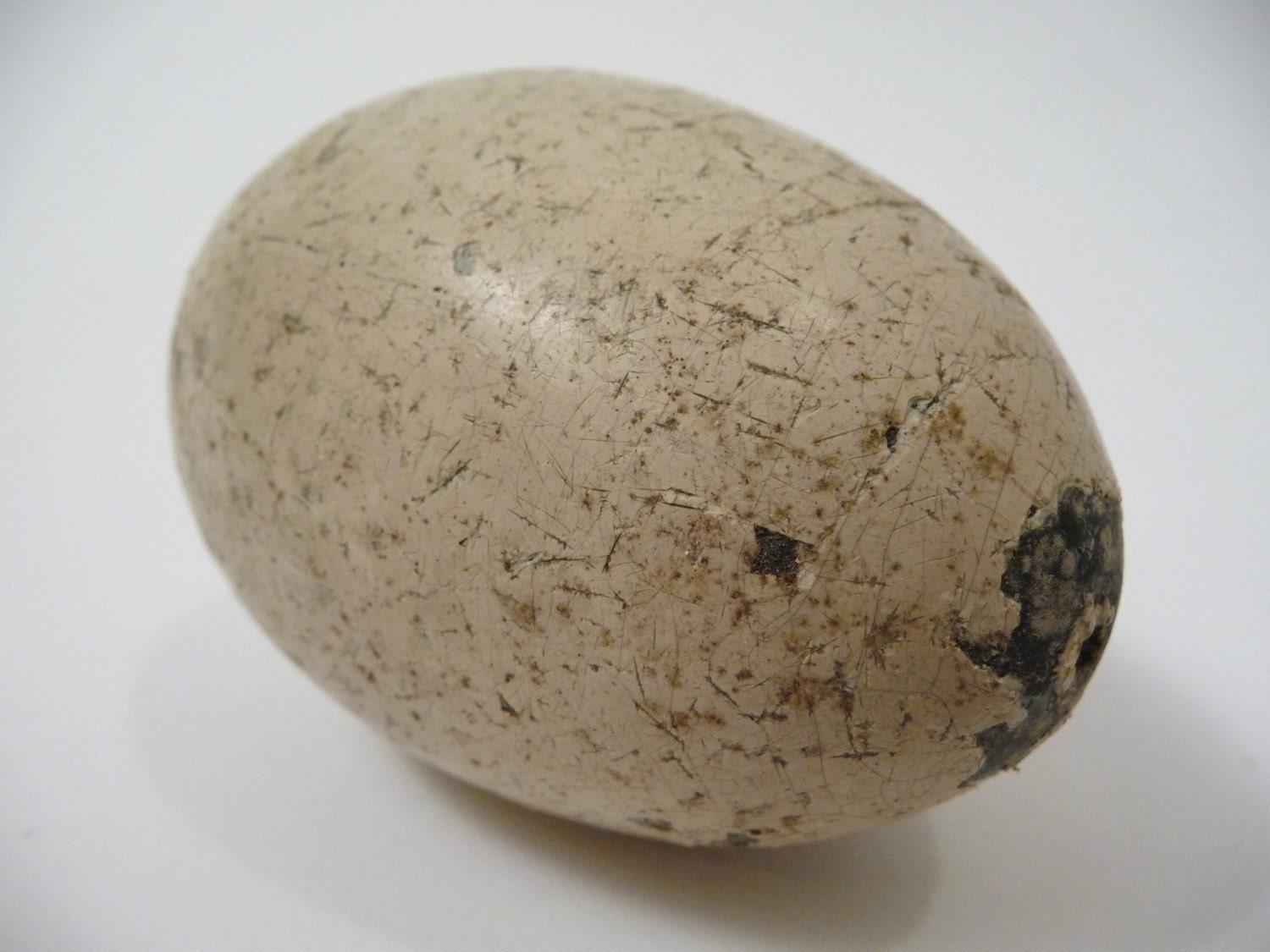 19th C Primitive Carved Painted Dummy Egg Folk Art