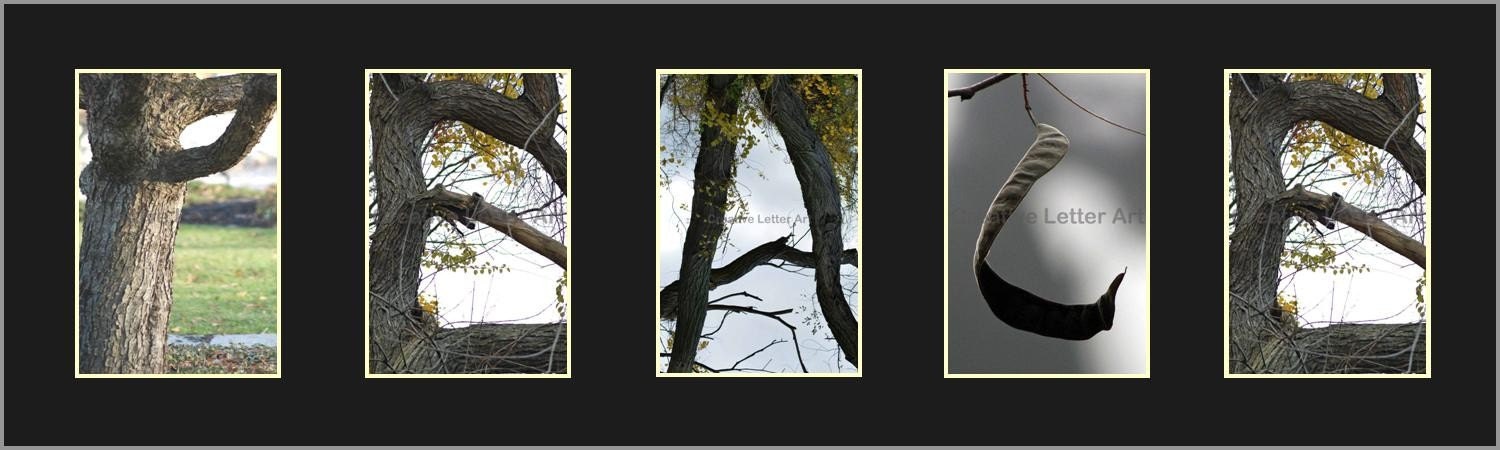 PEACE-101 Alphabet Letter Photo Art choices- available in Color, Black & White or Sepia