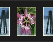 MOM-100 Alphabet Letter Photo Art available in color, black & white or sepia