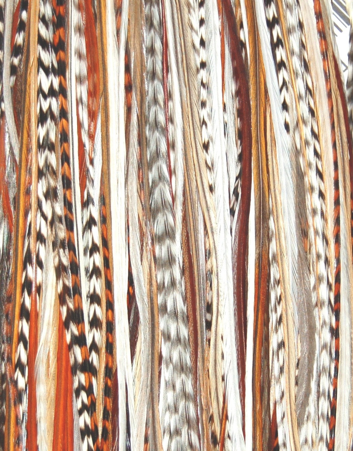 Natural Brown 6 Feather Hair Extension MEDIUM - Salon Grade : FREE mirco link clamp