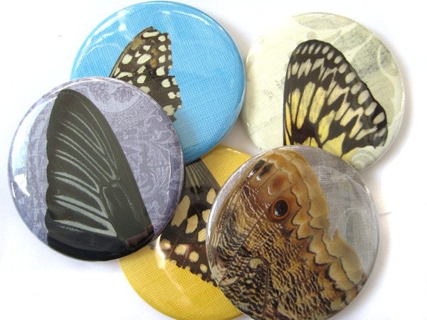 Real Butterfly Wing Pocket Mirror - Set of 4 assorted