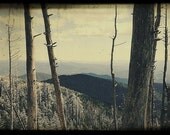 Vintage Style Print of the Wooded Rolling Mountains of the Appalachians - 16x24 fine art print
