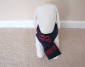 Boston Red Sox Dog Scarf