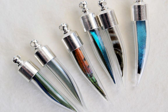butterly wing . parrot feather . horn vial . necklace . iridescence