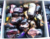 Dichroic Bead Grab Bag: Orange
