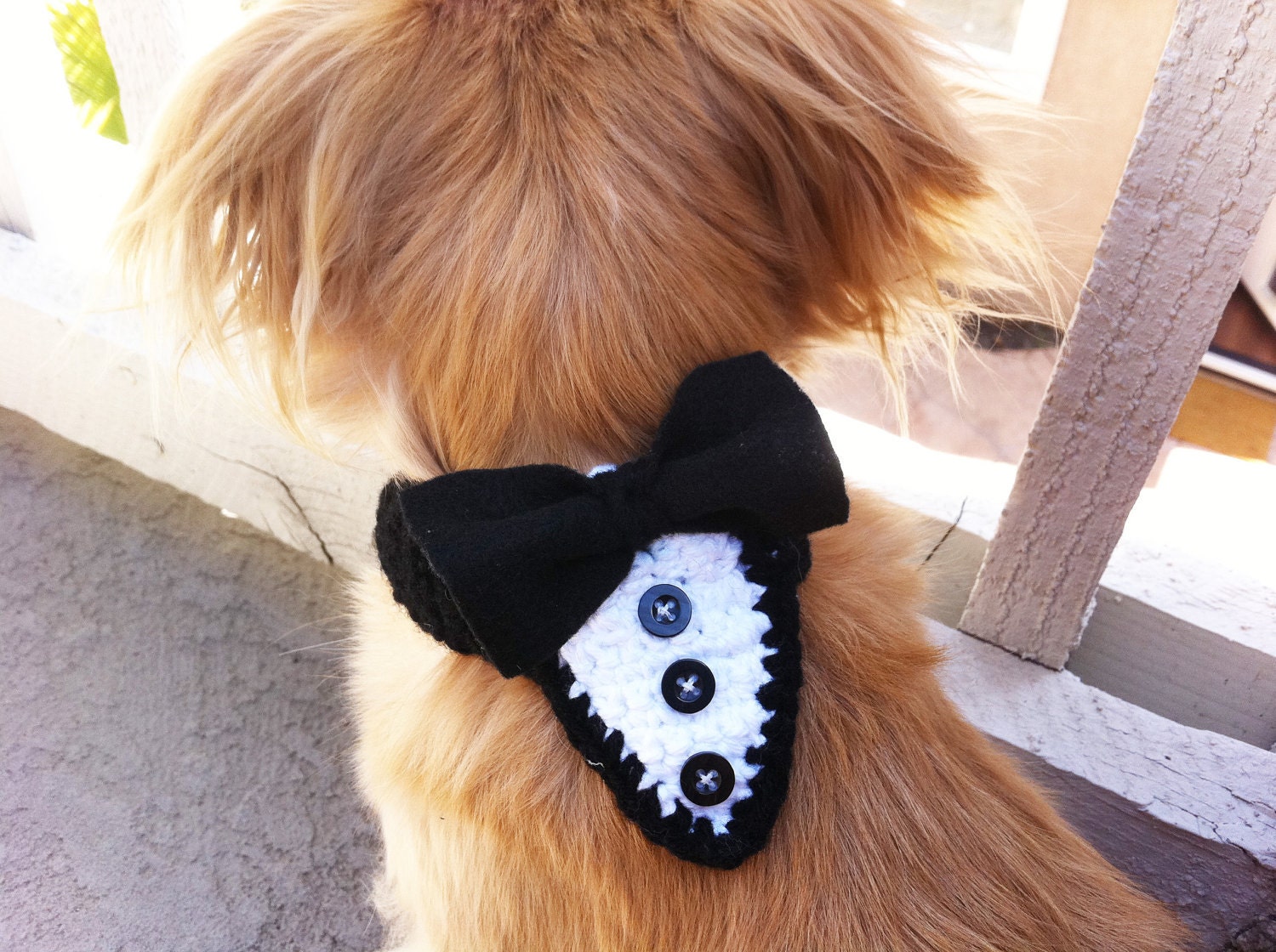 Custom Knit Tux collar, 36 color opitions