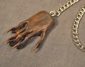 MYSTERY HAND FOB watch chain taxidermy jewelry (real animal paw)