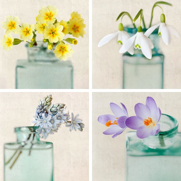 5x5 Print Set - Photo Set - Flower Art Print Set - Floral Art - Shabby Chic Wall Art - Photo Collection - "First Flowers of Spring"