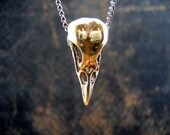 Bronze Raven Skull Necklace on 18" Chain - Bird Crow