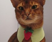 Felt Strawberry tie with point collar