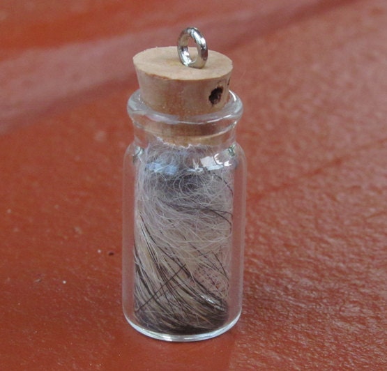 Alaskan Wolf Fur Spirit Glass Jar Pendant