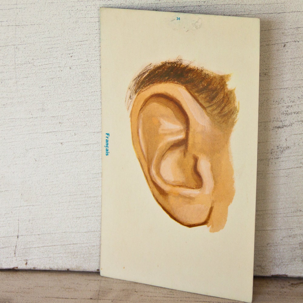 1960's French Anatomy Flash Card Odd Strange Weird Bizzare