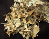Shredded Money - Great For Packing Or Scrapbooking