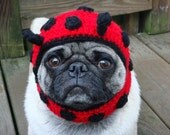 Dog Hat - Ladybug/ Made to Order
