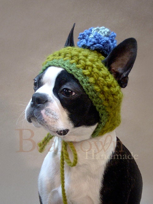 Size SMALL Blue Blossom Dog Hat with String Tie