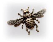 1 - Large BEE Antique Ox Brass Jewelry Findings (F)