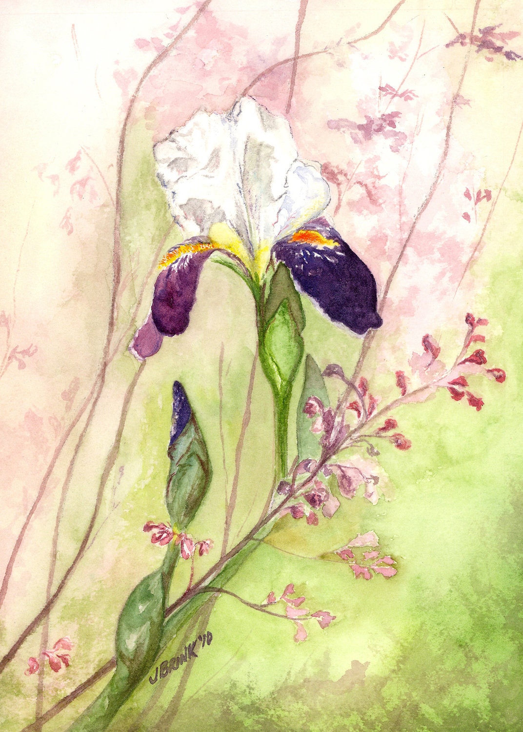Iris - 5x7 print