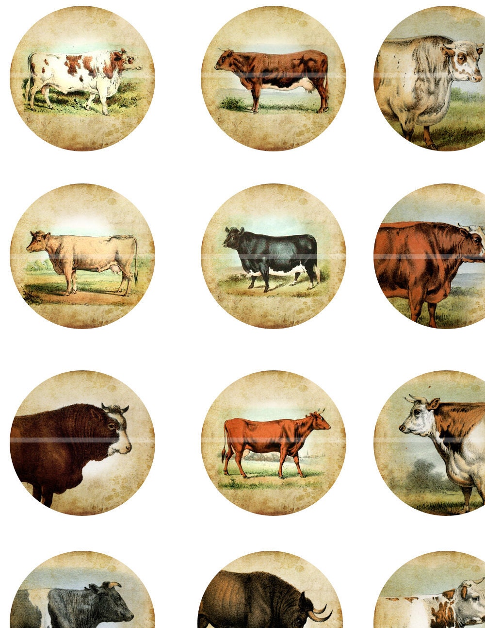Antique Cows 1" circle digital collage sheet 25mm farm animal herd