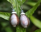 Big Island Cowry & Puka Shell Earrings w/ Labradorite