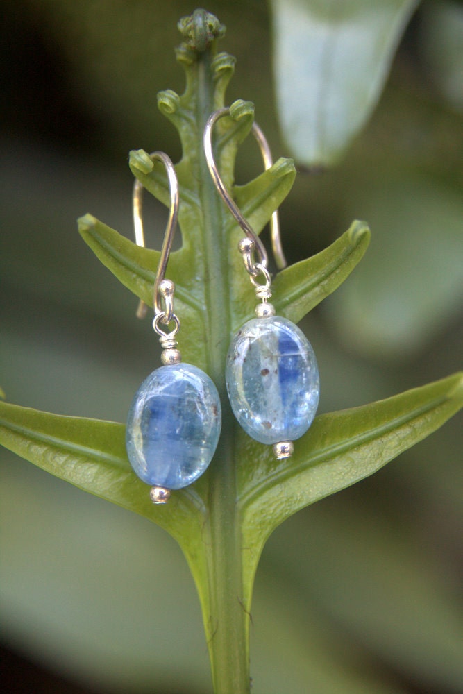 Kyanite Ovals & Silver Earrings