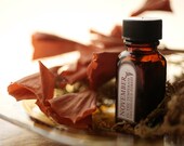 November in the Temperate Deciduous Forest - natural perfume oil