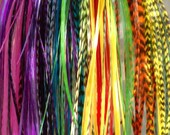 CUSTOM Feather Extensions, Bright 8-11" Extra Long, 15 pc Collection, FREE U.S. Shipping