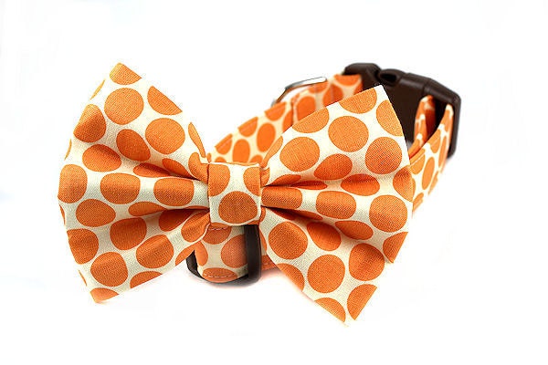 Dog Collar and Bow Tie Set.....Fresh Dots in Tangerine......Made to Order in Your Choice of Size