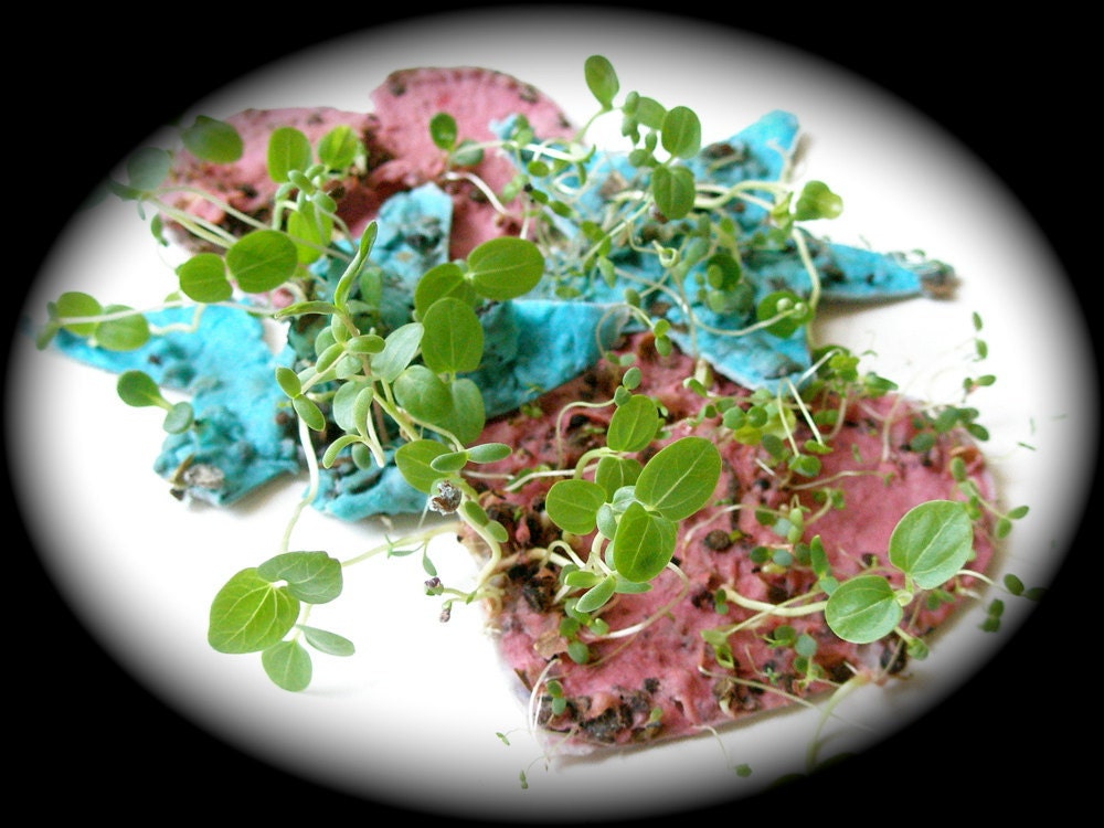 diy: make plantable tags from your own handmade recycled paper