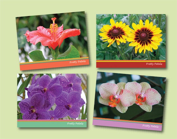 Note Cards - Orchids, Hibiscus, Black-Eyed Susans - "Pretty Petals" Collection