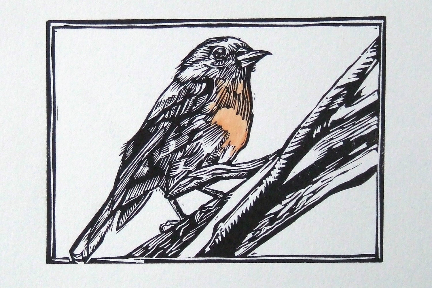 Australian flame Robin original  linocut print