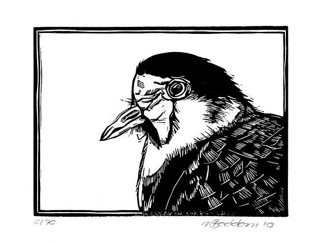 Australian plover original  linocut print
