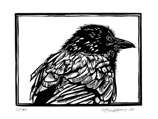 Australian crow original  linocut print