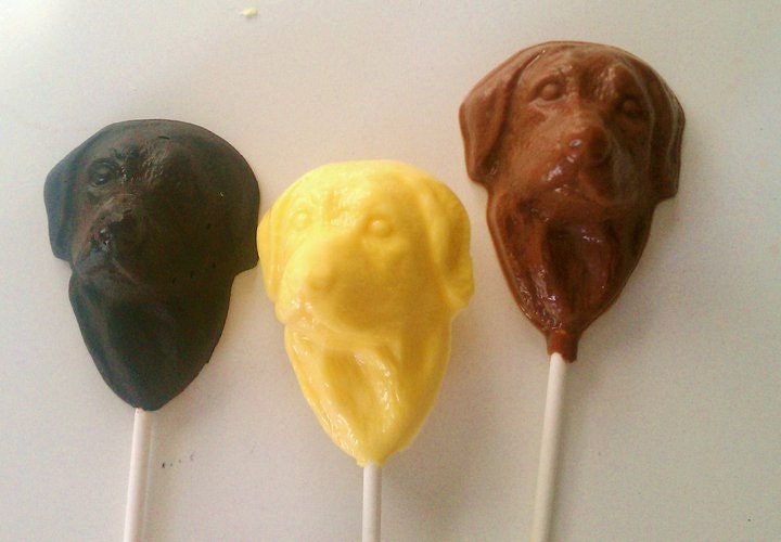 Labrador Retriever Chocolate Lollipops Candy Dog Sucker 5 pops Il_170x135