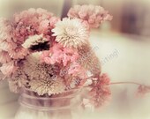 SUGAR Frosted FLOWERS Pale Peachy BLUSH Cream - Country French Cottage Chic Garden Decor fine art photo 5x7 matted to 8x10 and signed by me.
