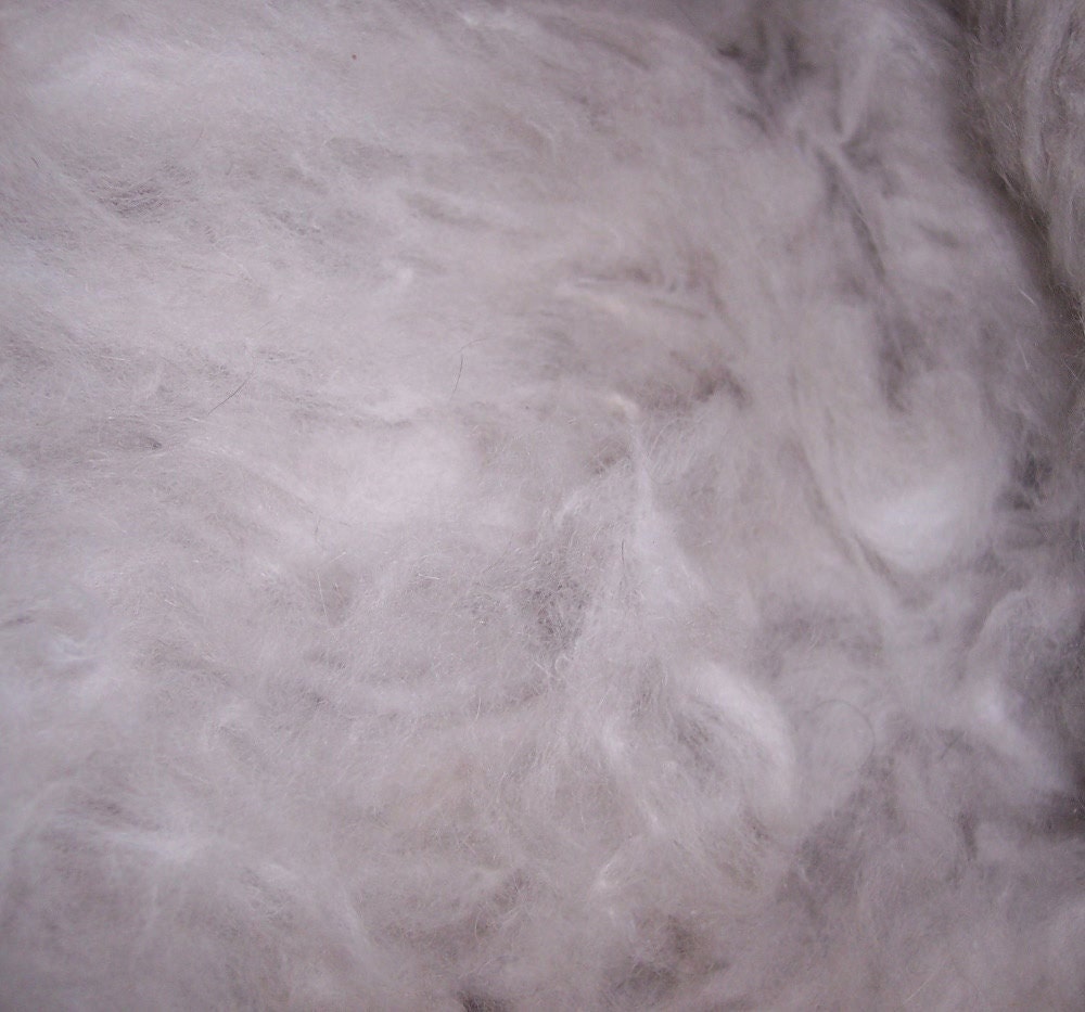 Raw Angora Fiber, Hairyetta , one ounce, extremely soft, natural color, ready to spin