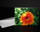 Photo Notecard - 3.5 x 5" - blank inside - Fine Art Photography - bright orange flower in greenery