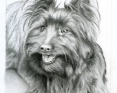 Hand Drawn Portrait in Graphite - 5x5 or 5x7