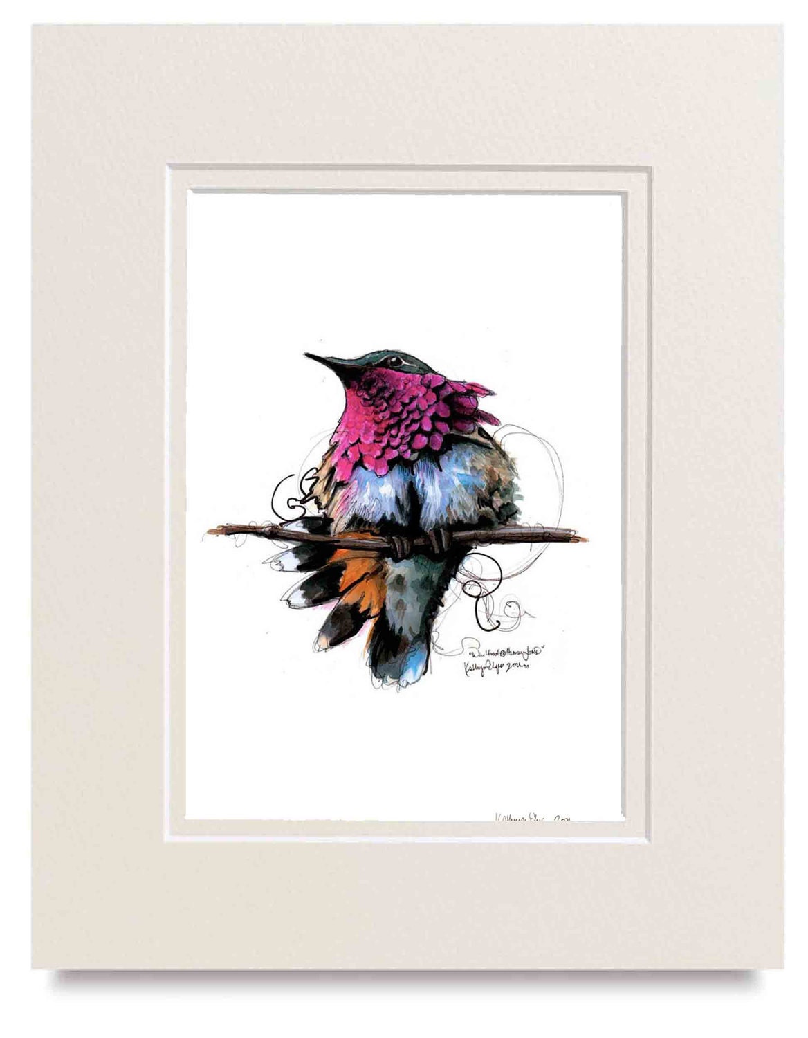 Wine Throated Hummingbird